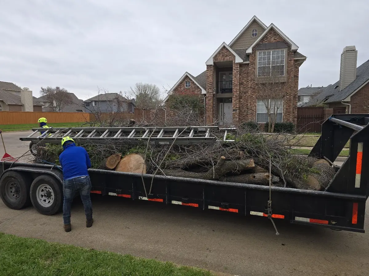 Expert Lot Clearing with proper safety equipment in Florence